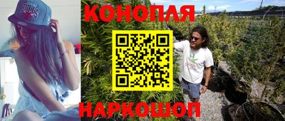 mdpv Можга