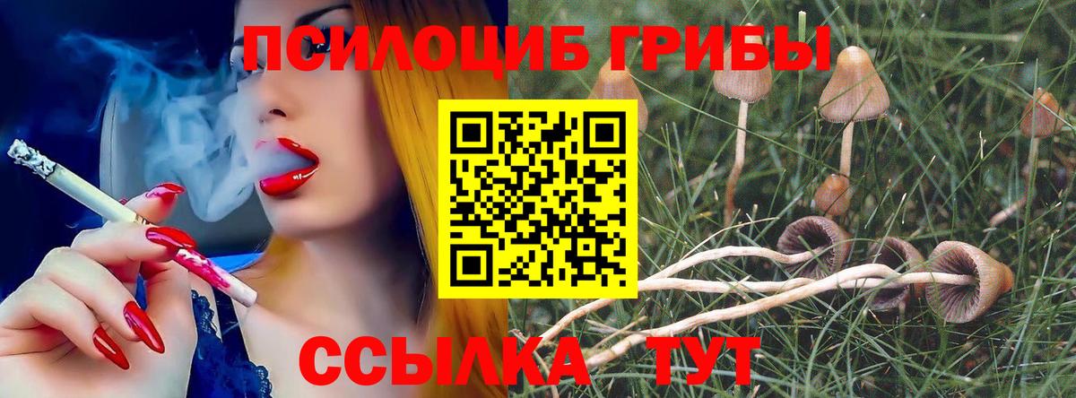 Галлюциногенные грибы прущие грибы Заинск