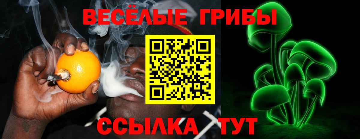 Галлюциногенные грибы Magic Shrooms  Псилоцибиновые грибы GOLDEN TEACHER  Вход с VPN  Заинск 